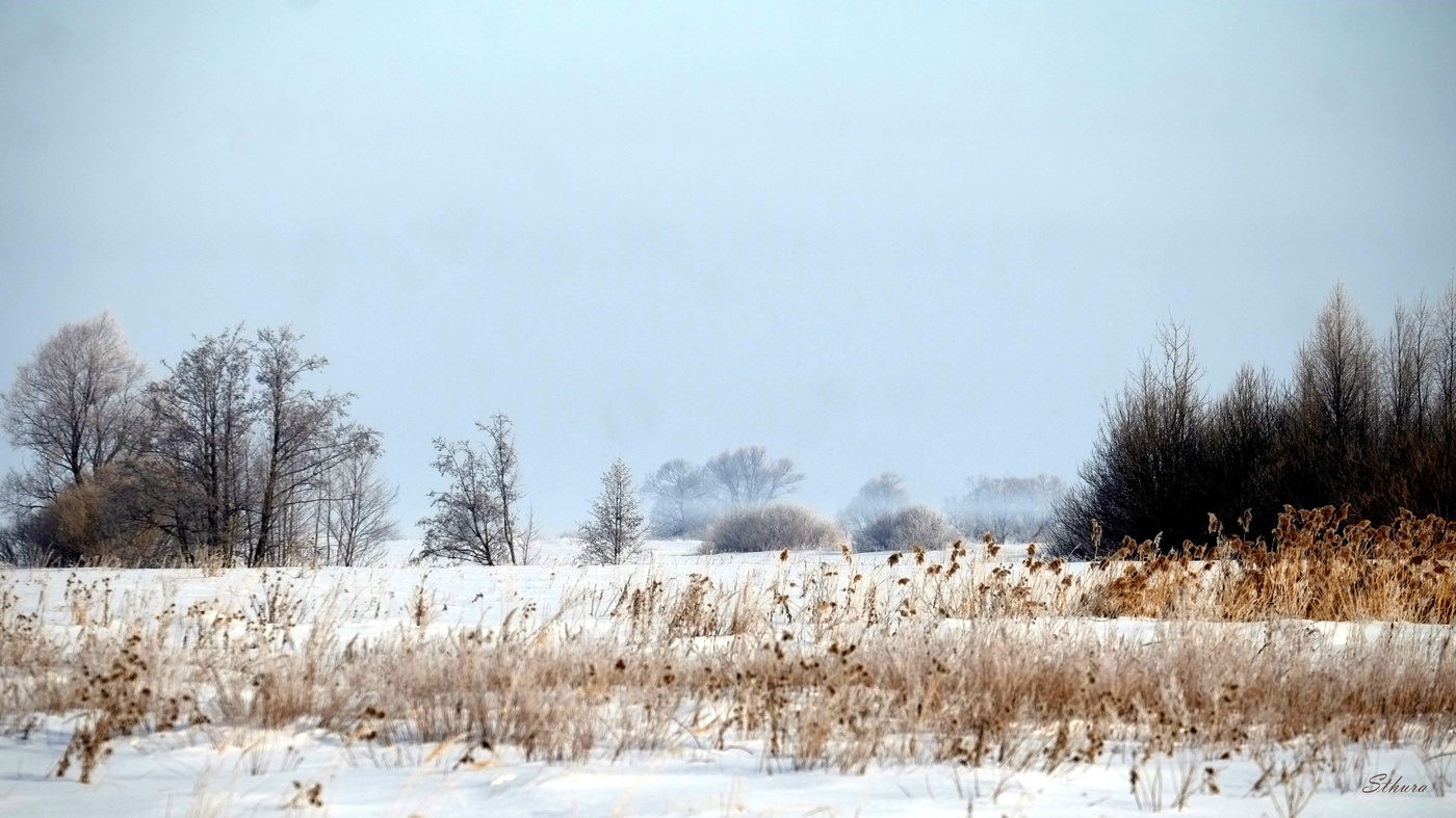 Морозное утро марта.
