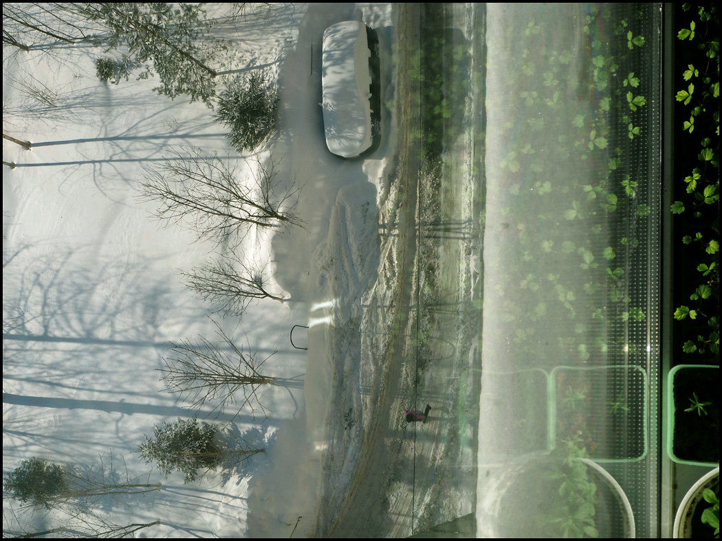 экосистема