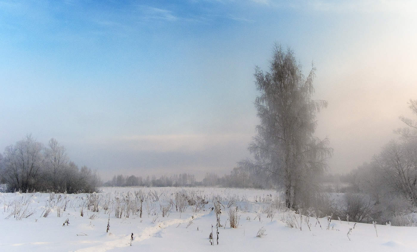 Туманная пелена вносит коррективы в ясный день