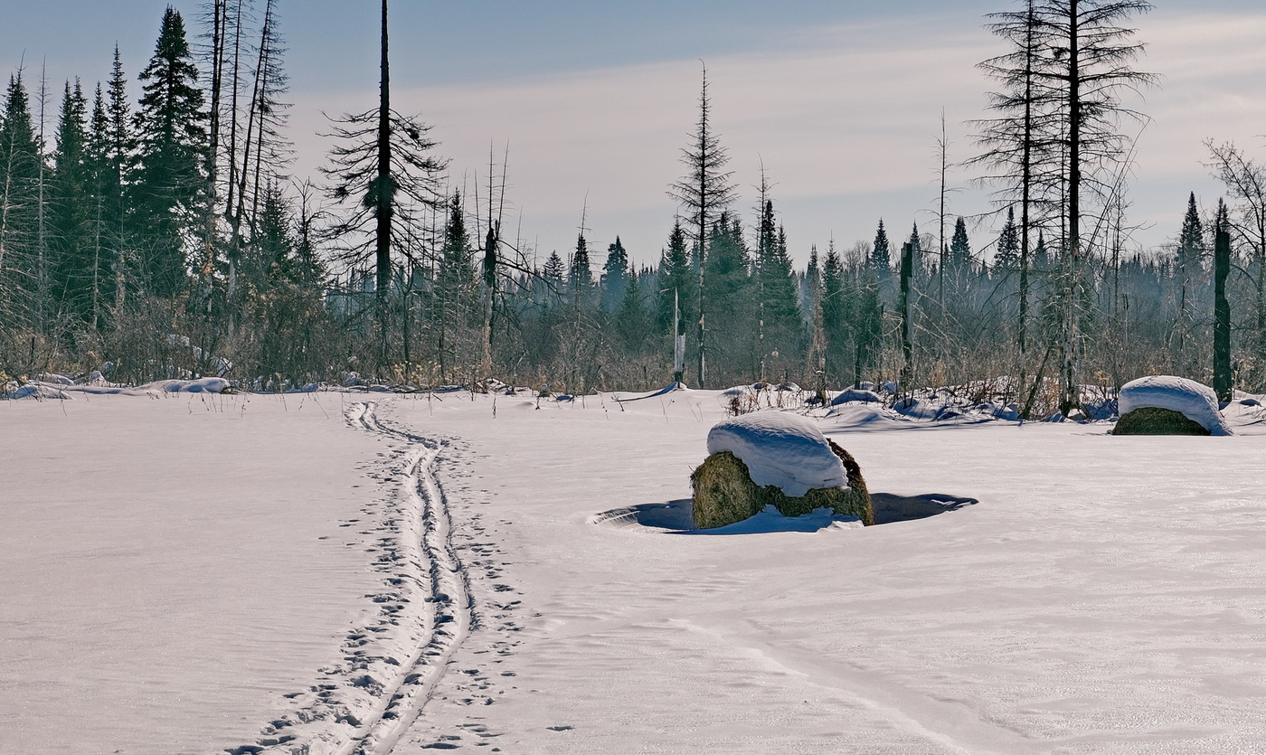 МАРТОВСКИЙ ПОЛДЕНЬ
