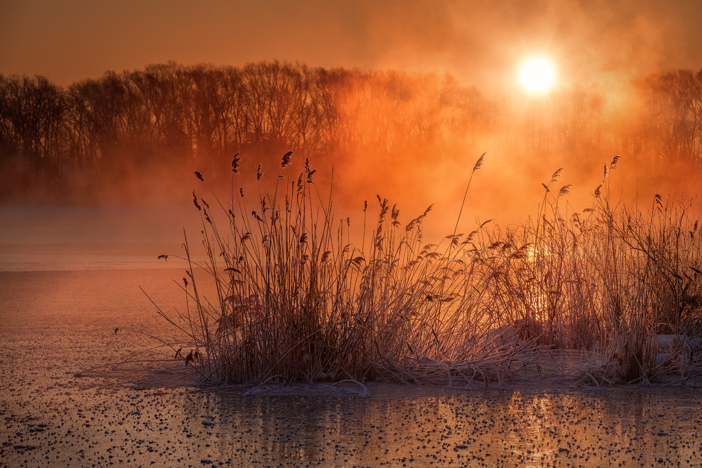 Воскресный рассвет в Шатуре