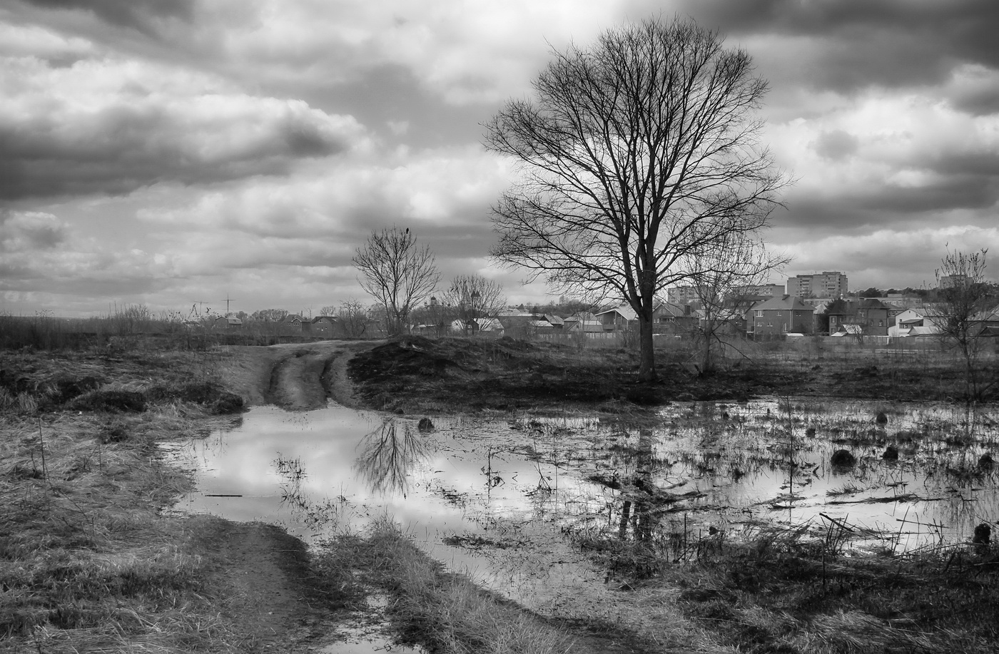 Весенний пригород