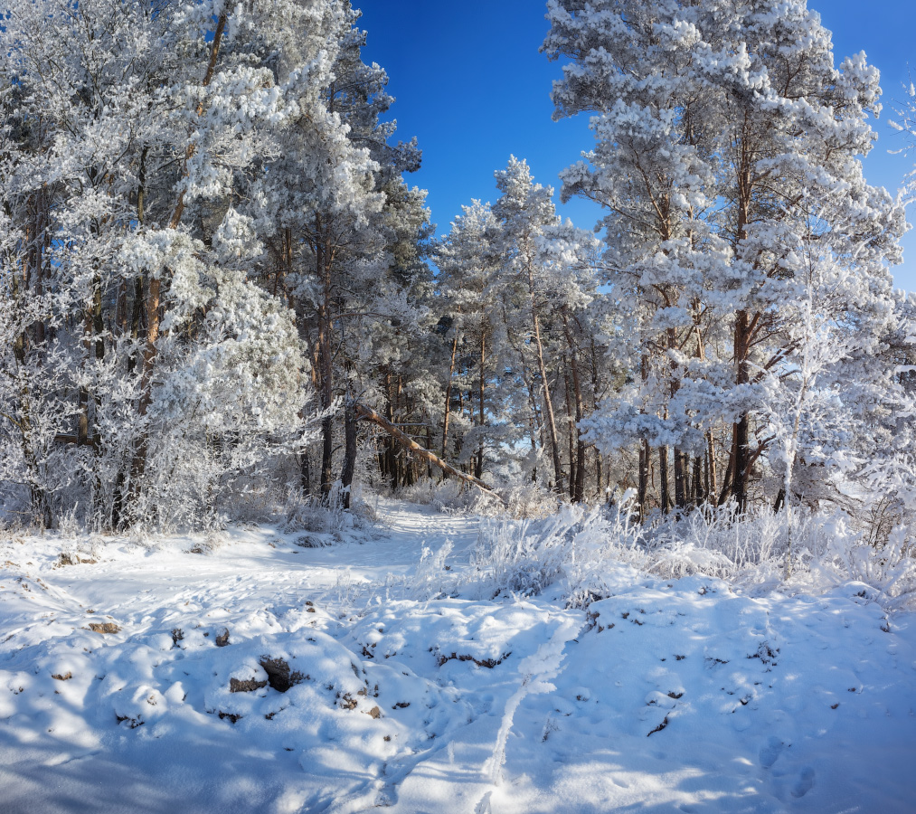 Про зимний полдень