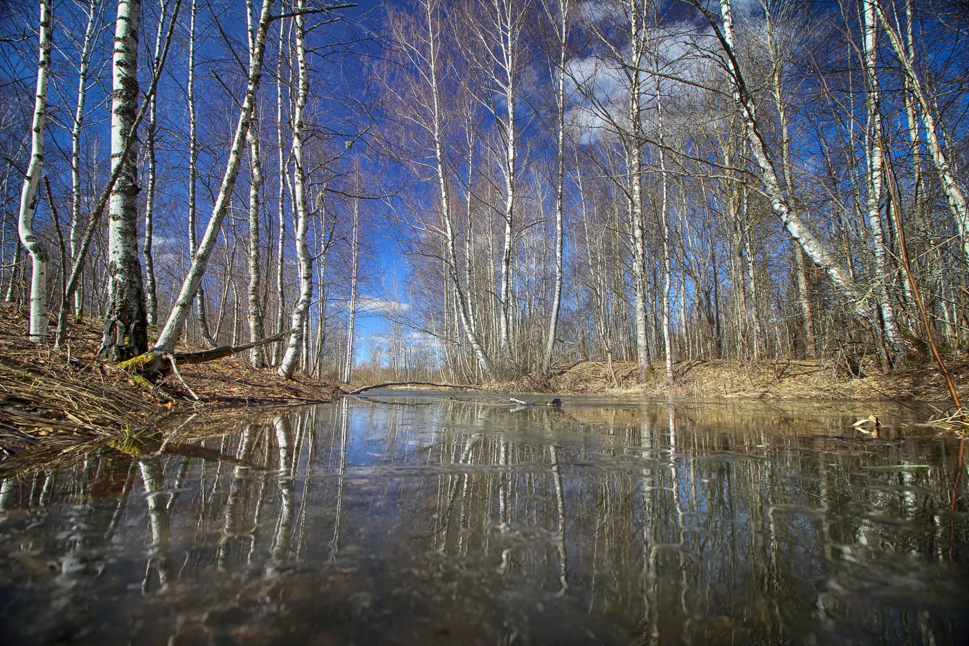 В мире наступающей весны...