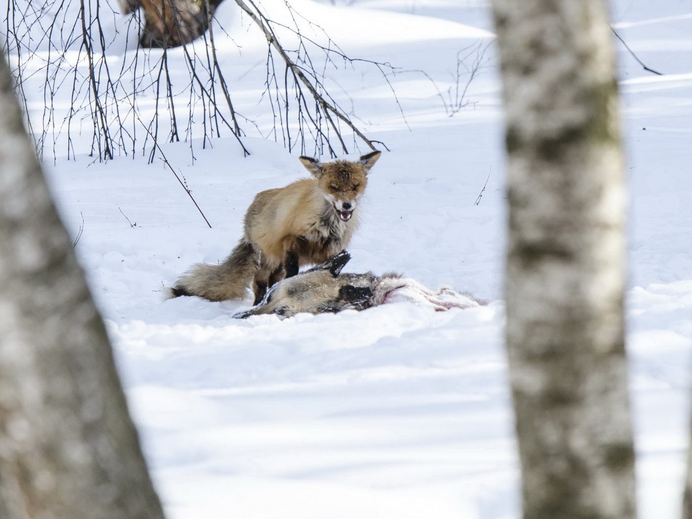 Правда жизни... и смерти.