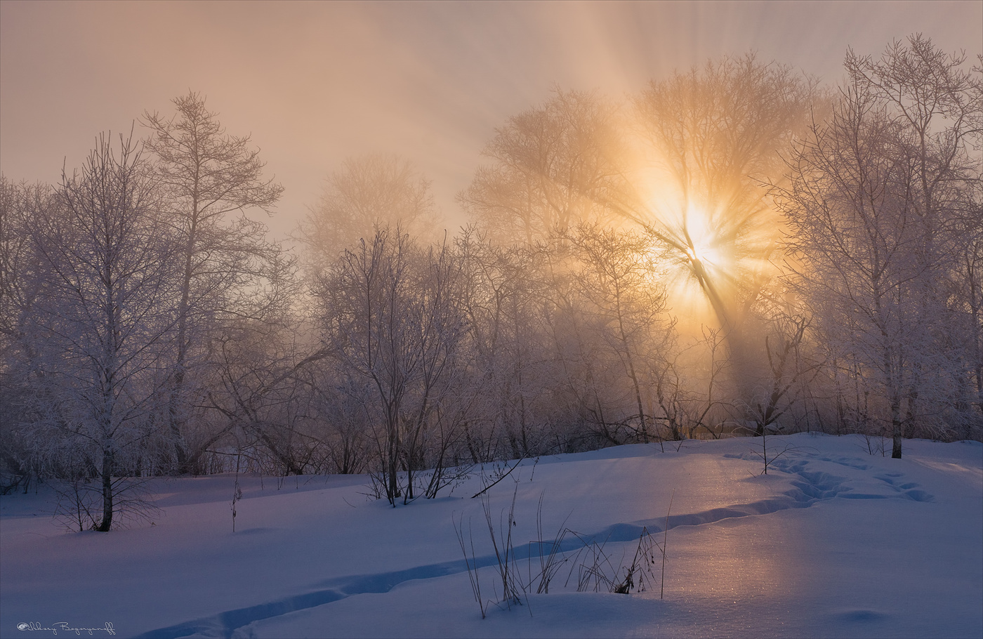 Пойманный свет.