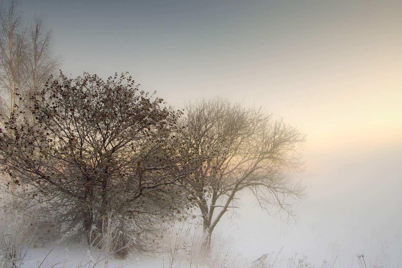 Непокоренные морозами