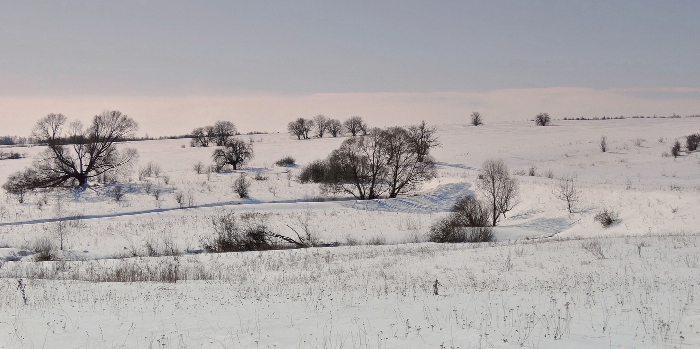 Мартовская природа в снегу