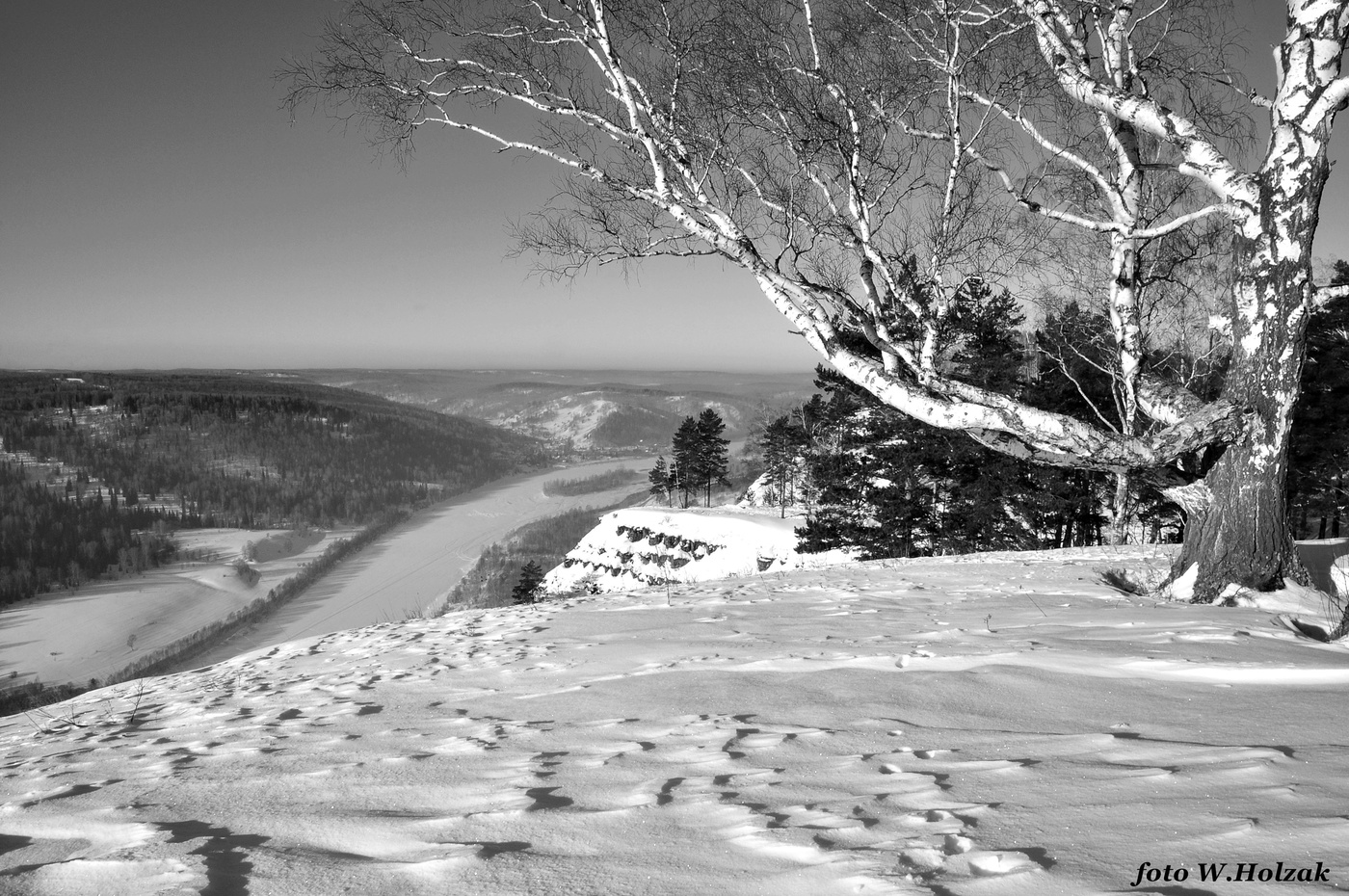 Гостеприимная Берёза