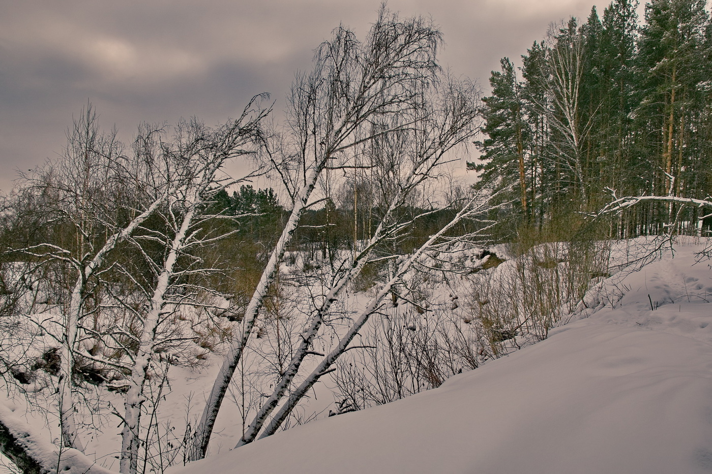 *МАРТОВСКИЙ ДЕНЬ**