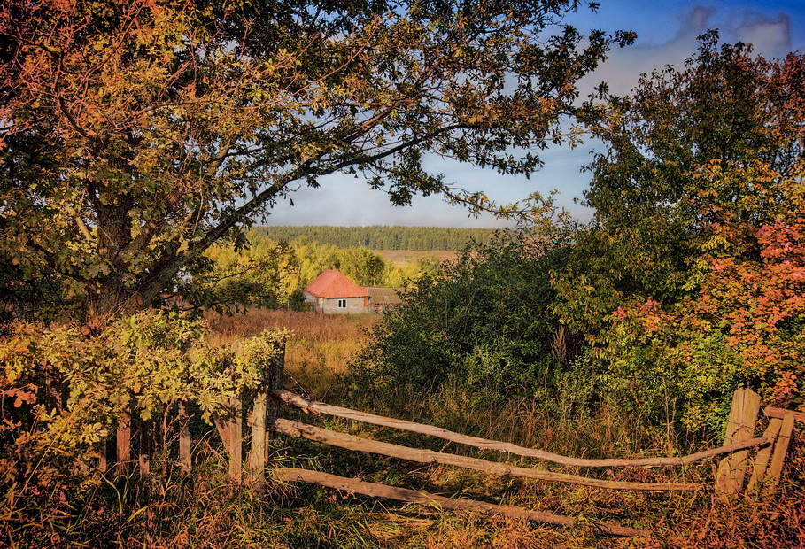 Сентябрьским вечером у знакомого дубка