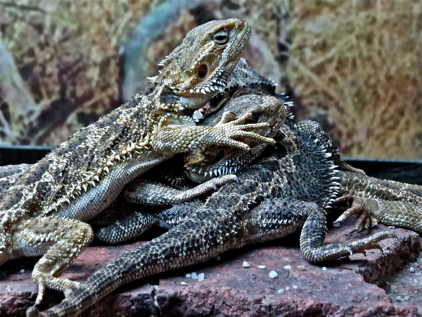 В тесноте, да не в обиде :)