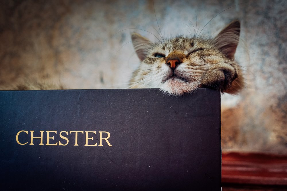 Главный герой