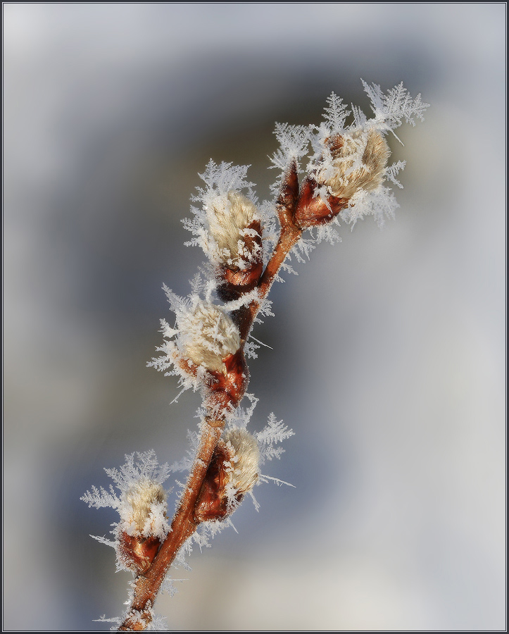Как Весна с Зимой встретились