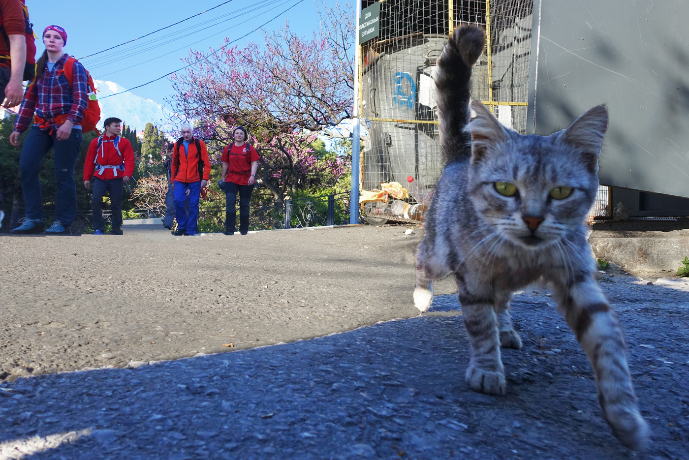 Главный герой