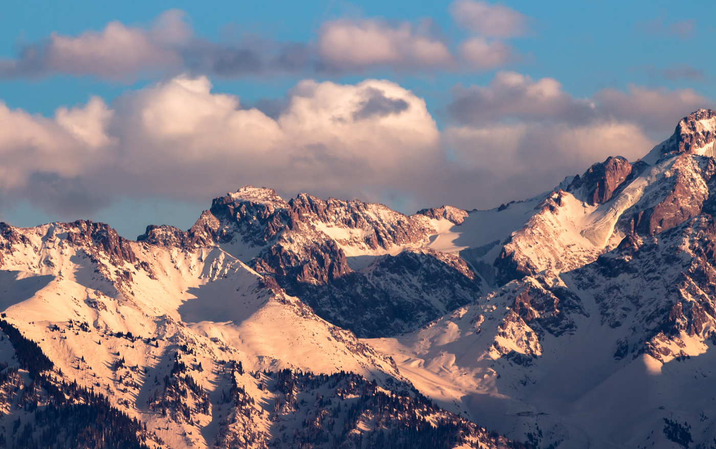 Палитра цвета...