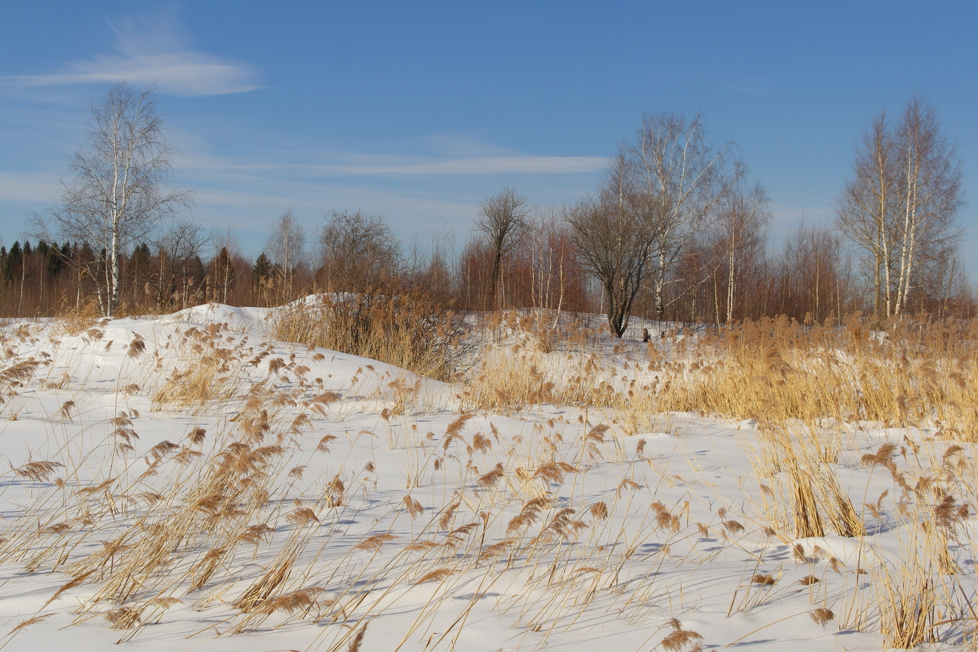 И всё же весна...