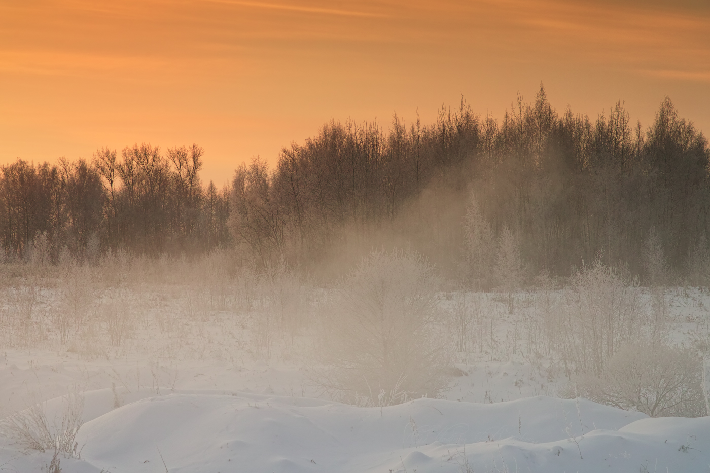 Персиковый рассвет