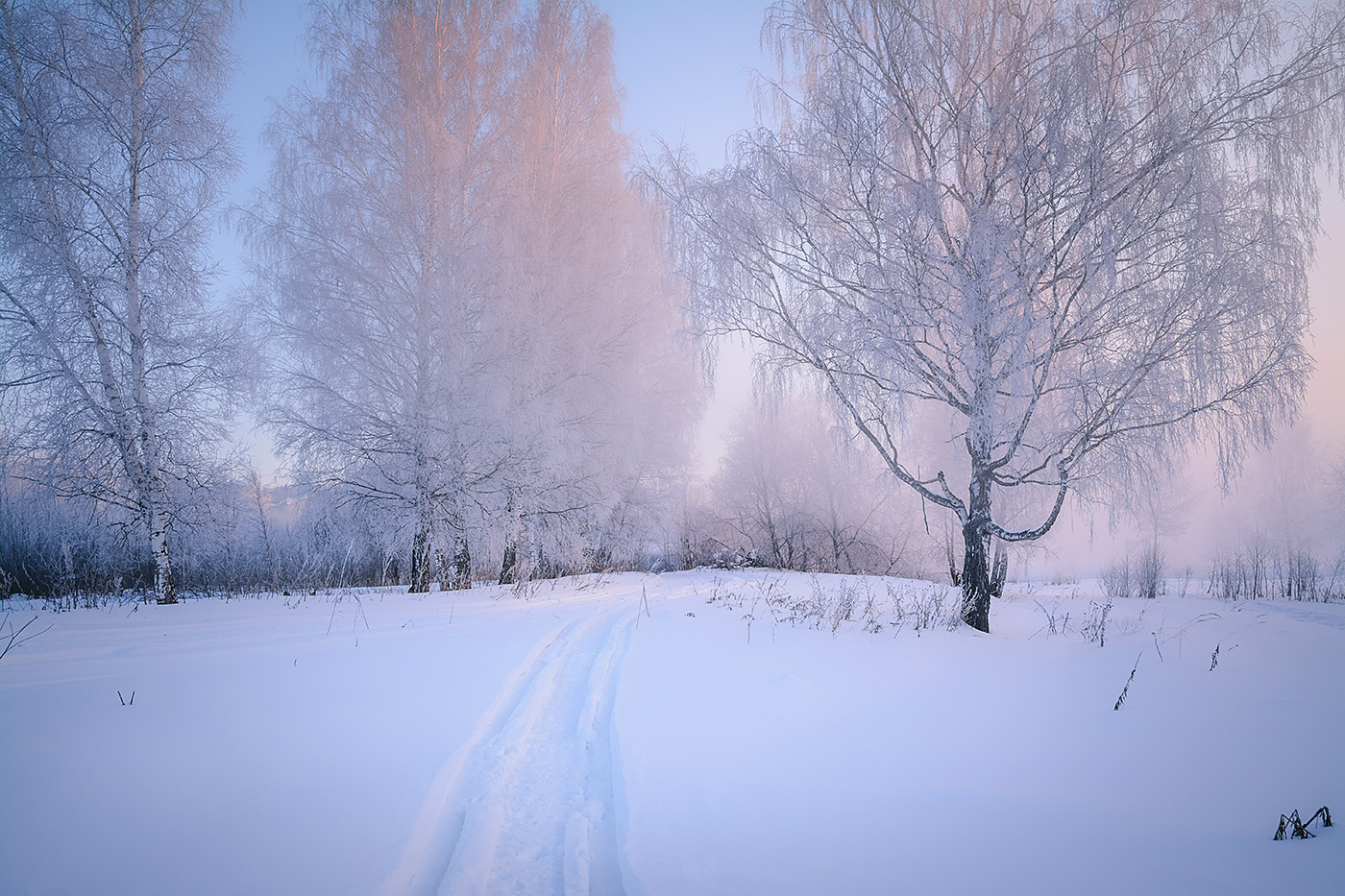 Морозное утро.