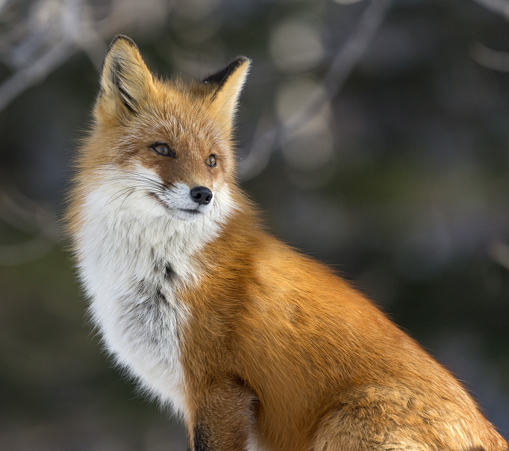 Спокойствие