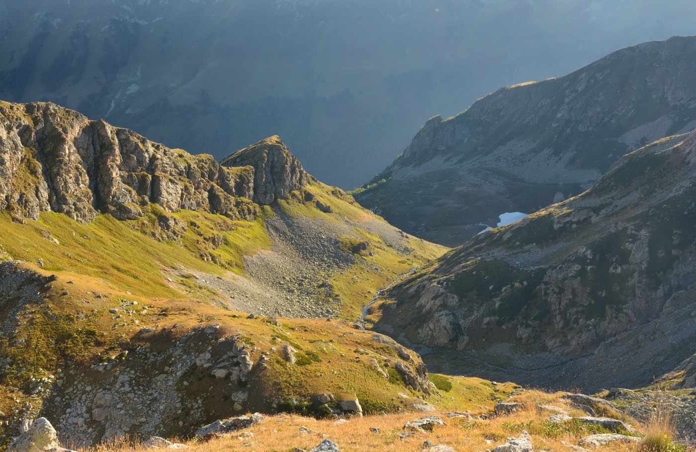 Дорога домой