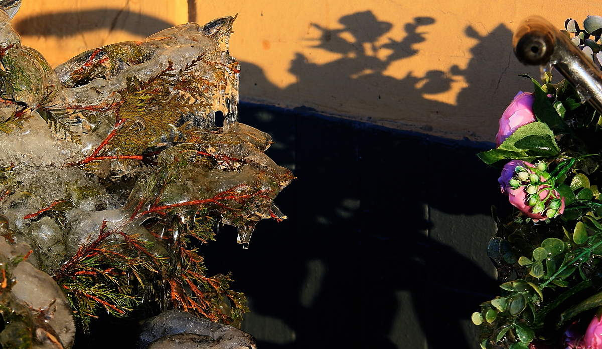 Встречайте Весну - Она уже пришла !!!