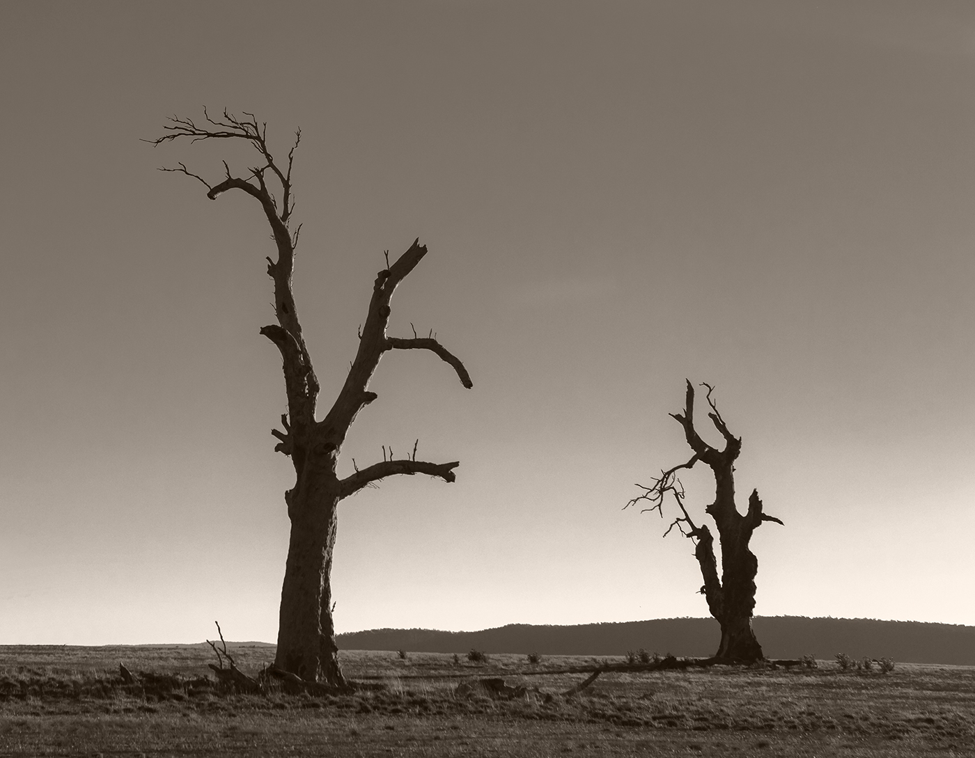 Двое у дороги