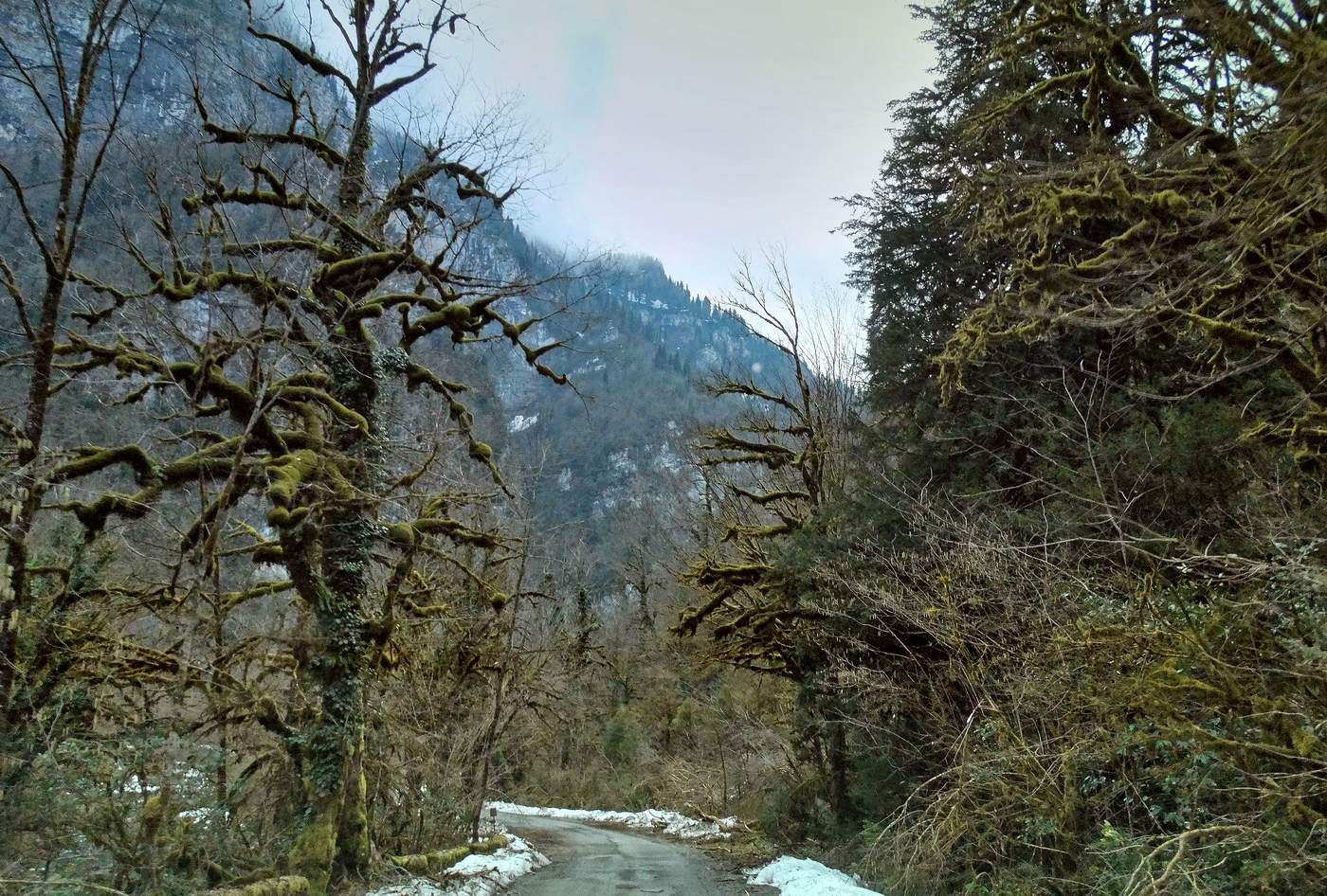 По дороге в дивное царство Кавказа