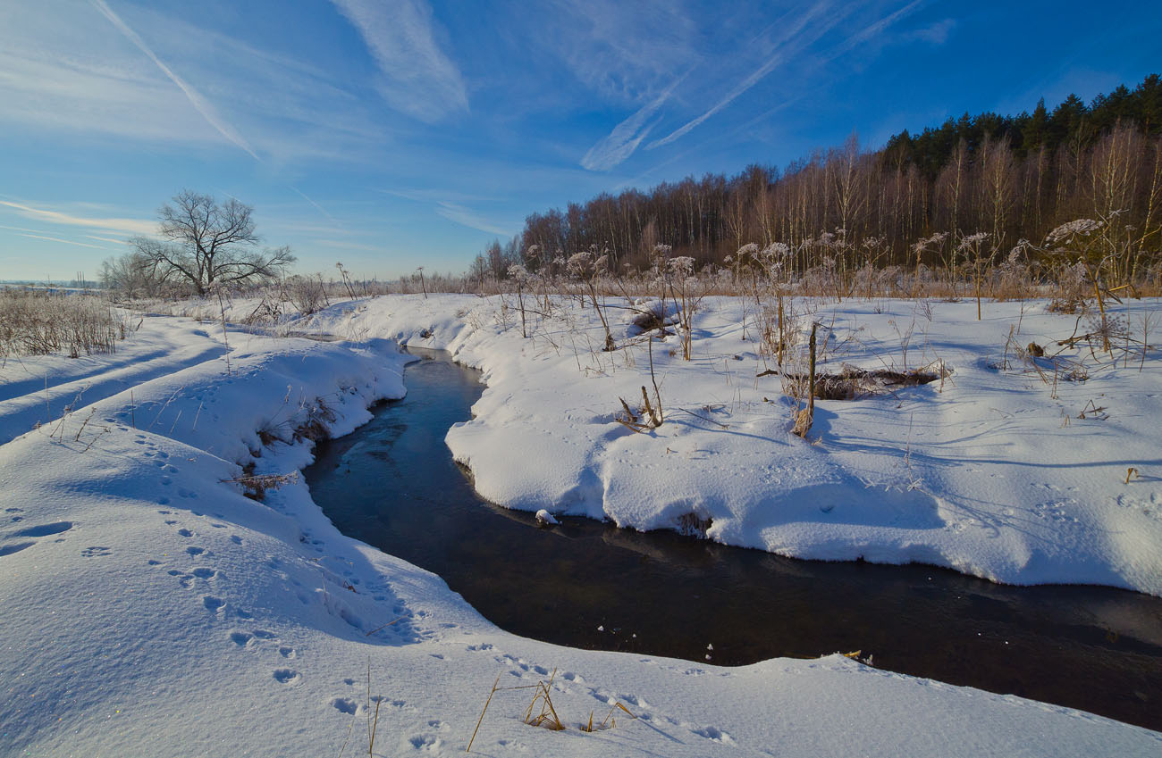 Холкельца в марте