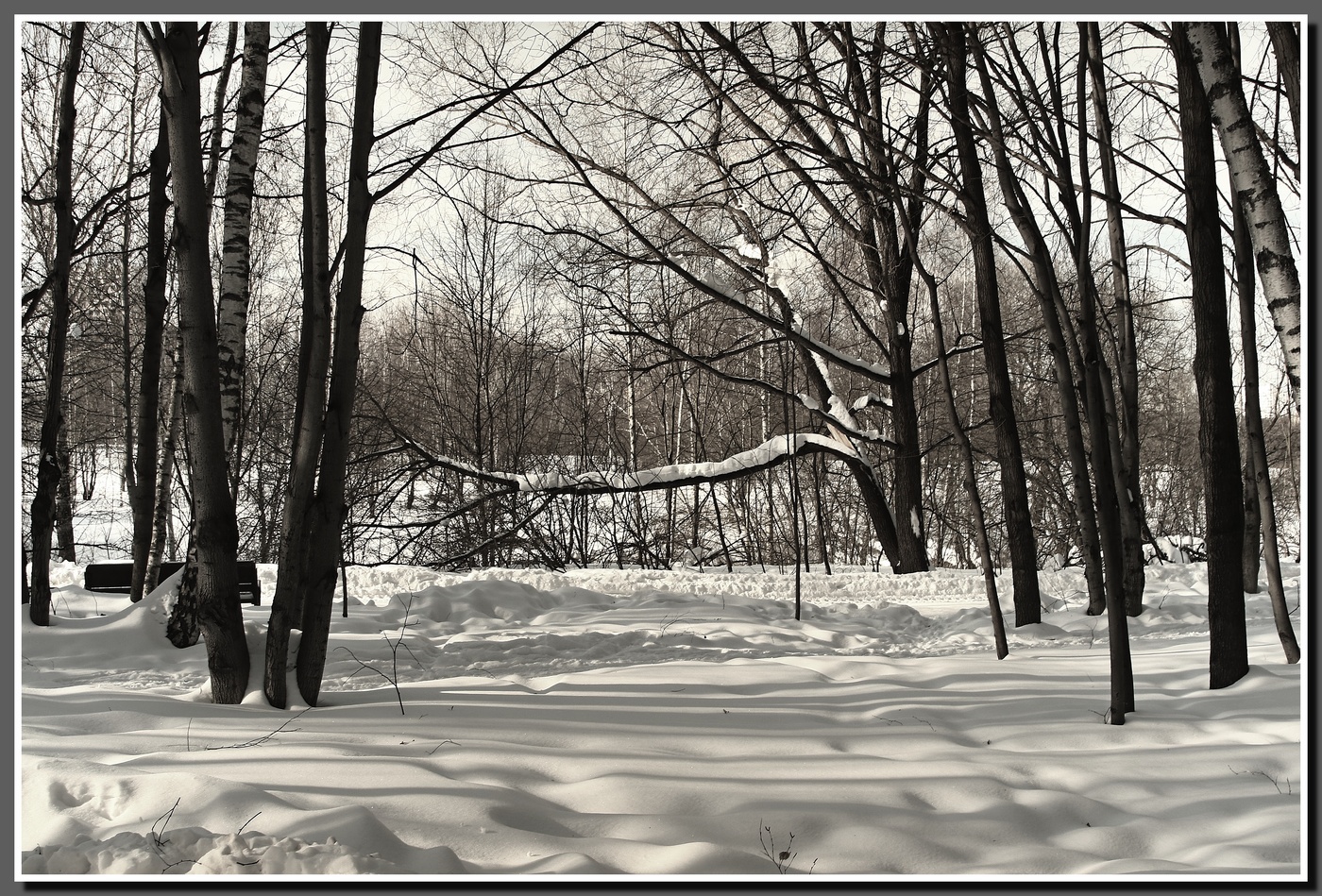 Мартовский этюд