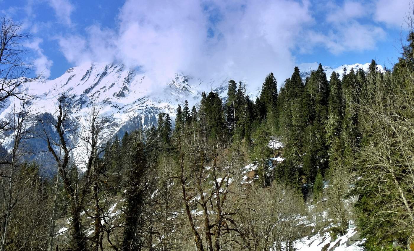 На склоны гор Кавказа пришла весна