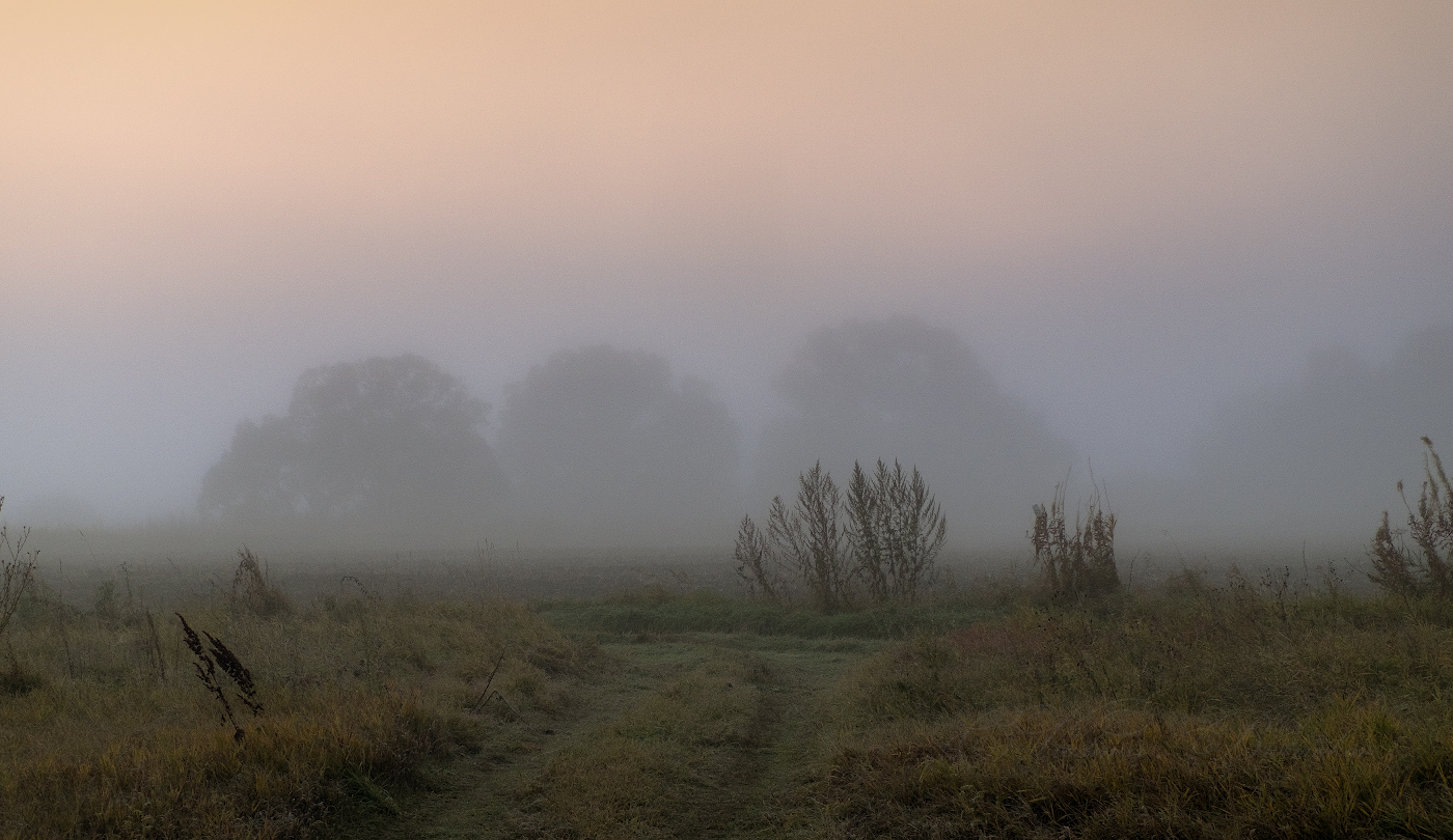 На перепутье туманных дорог
