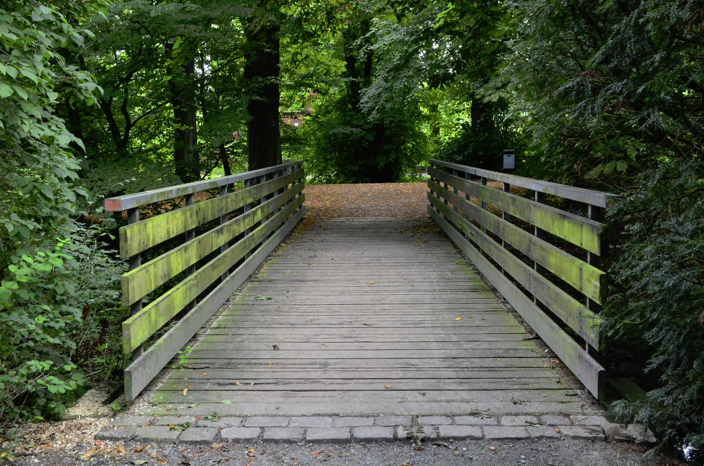 Просто мостик