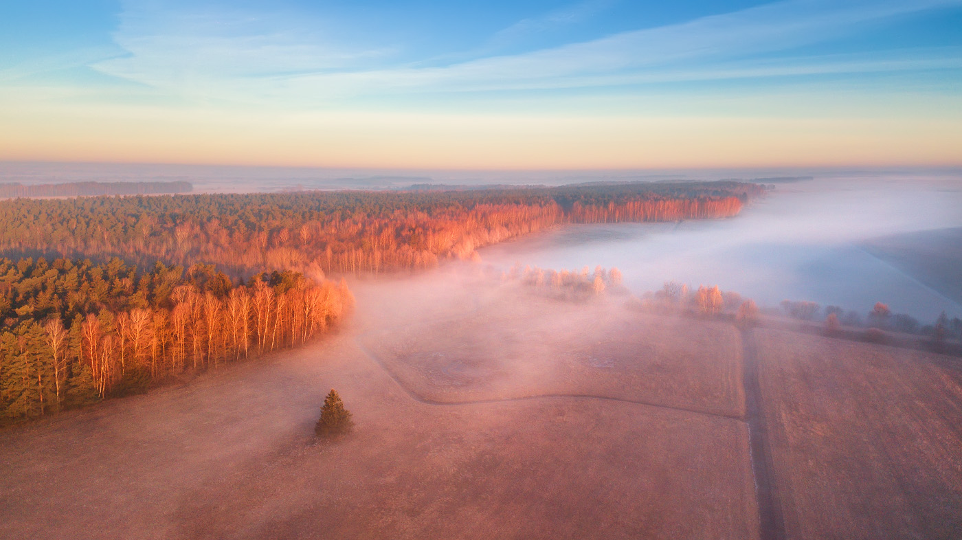 О мартовских туманах