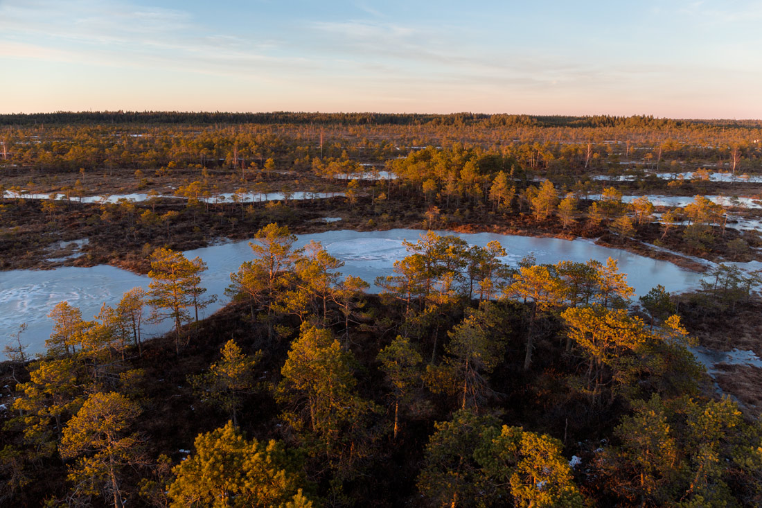 Болотные дали