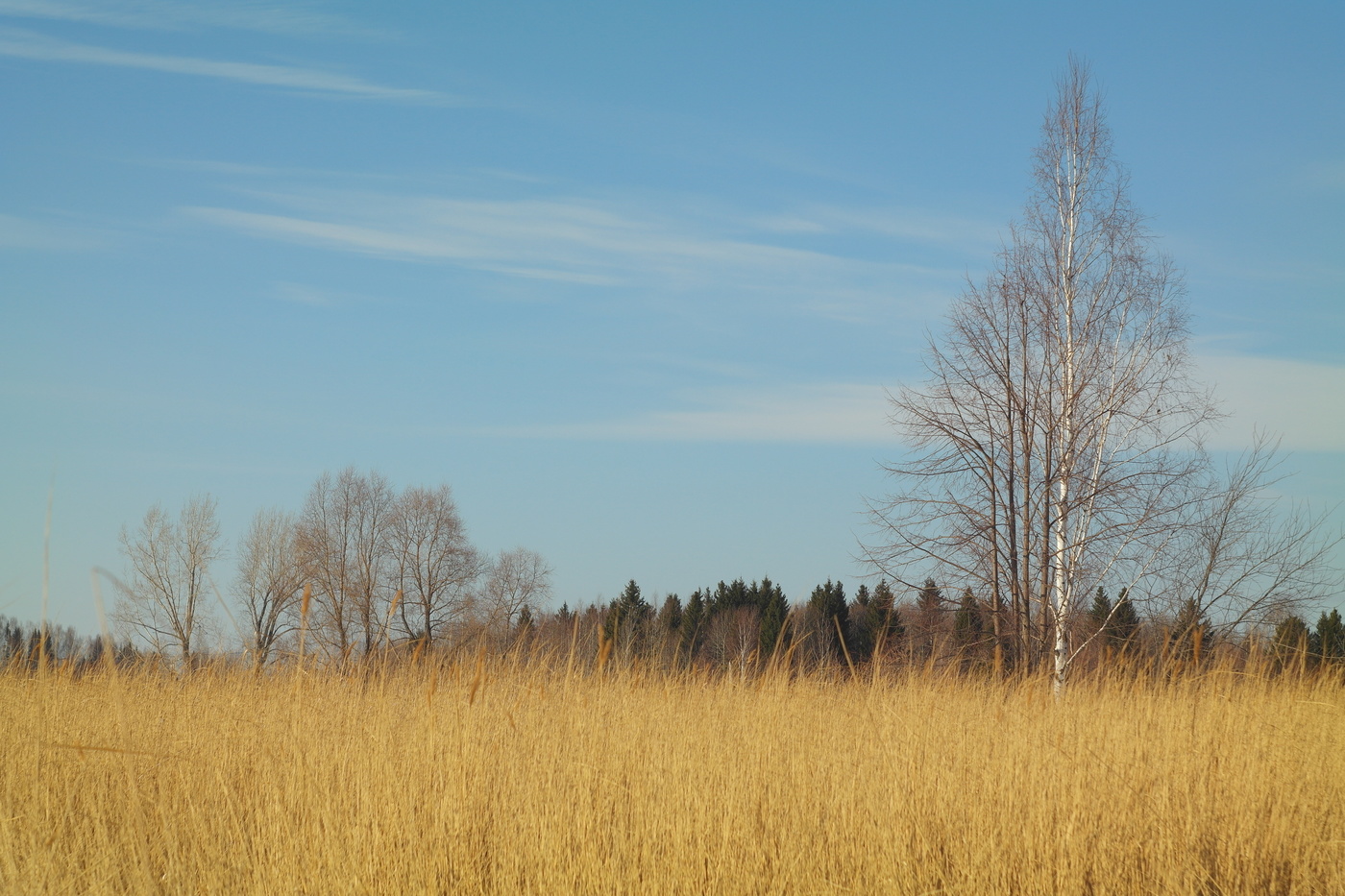 Пейзаж портретником...
