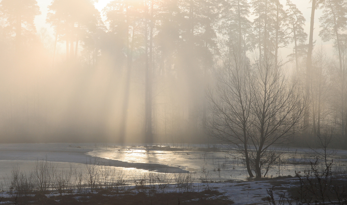 пробуждение