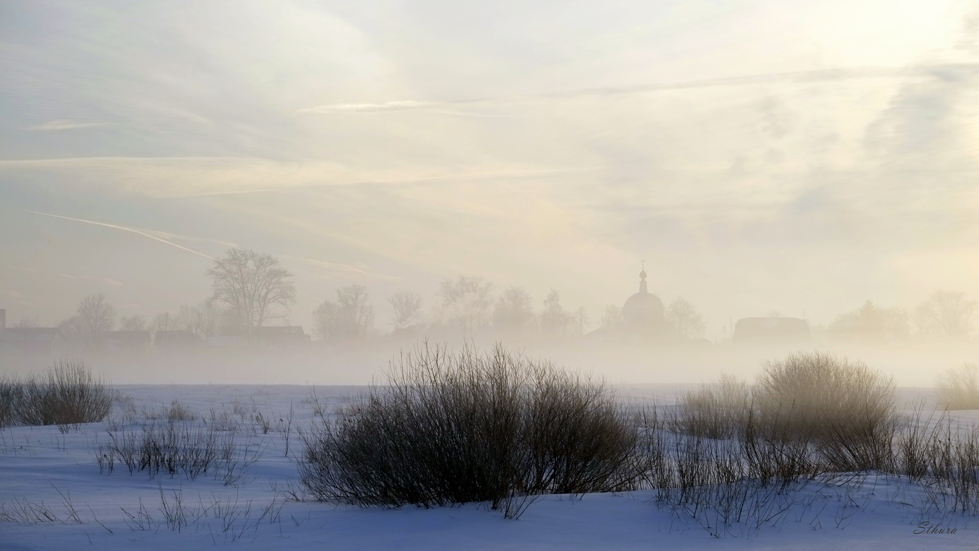 Ёжики в тумане.