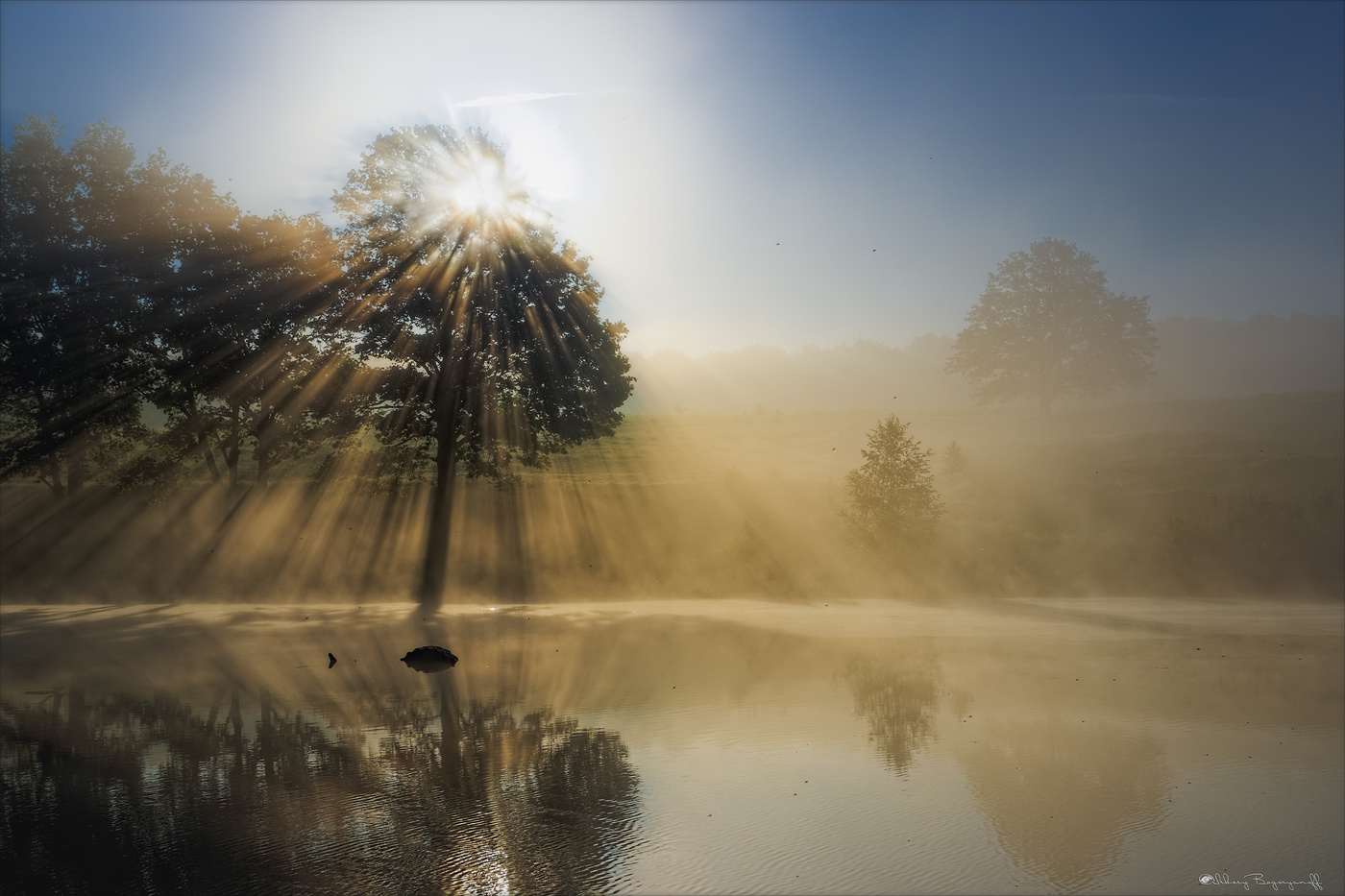 Солнца брызги золотые.