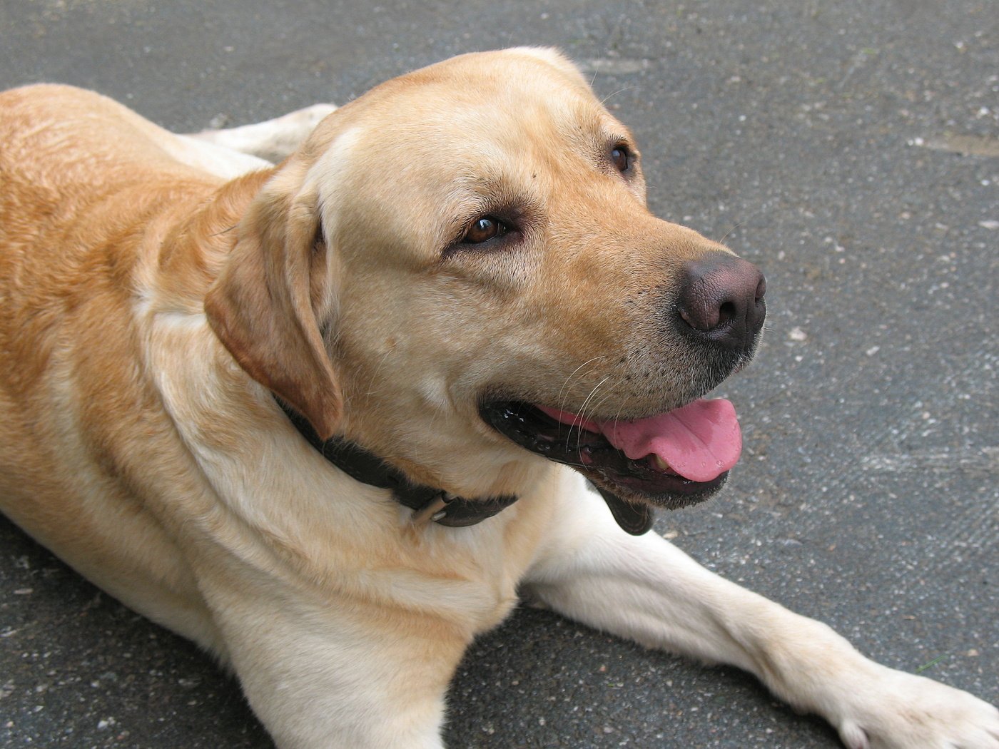 Сомневаюсь я.