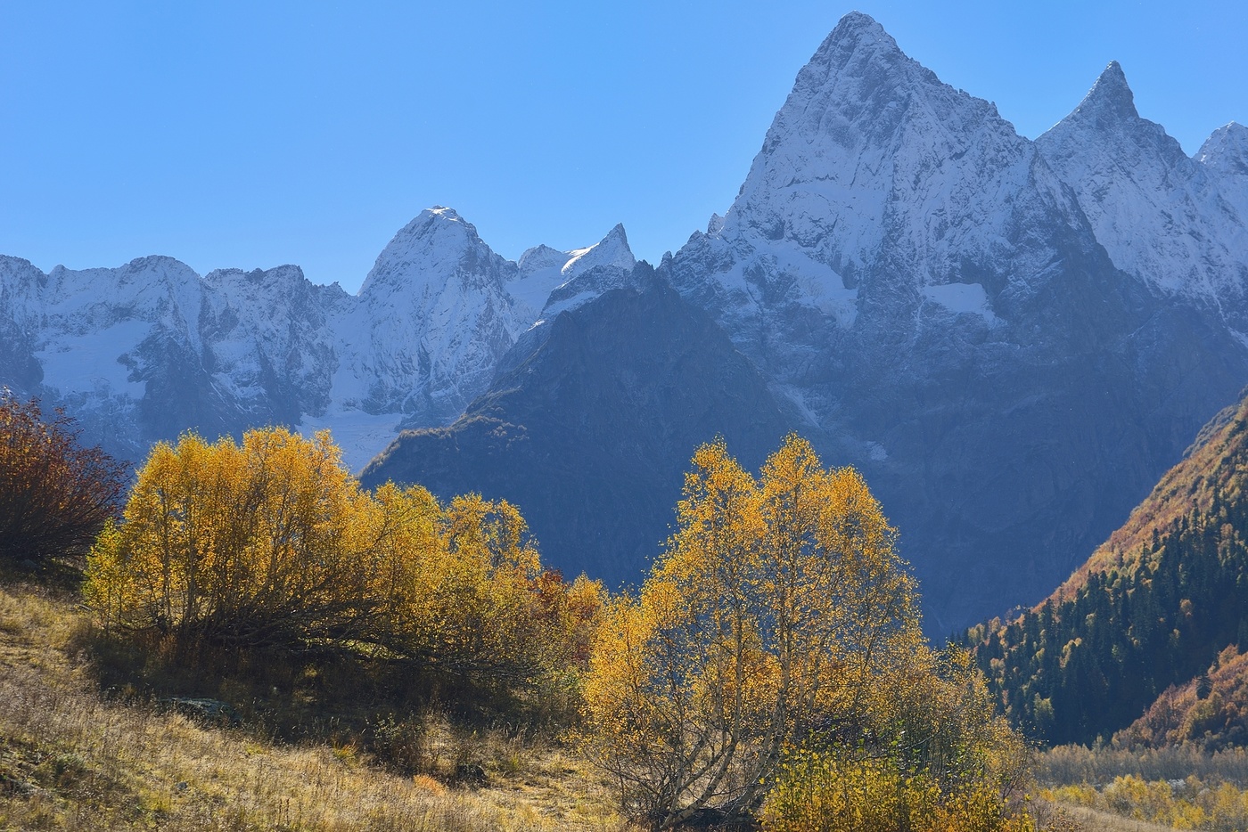 Осеннее утро
