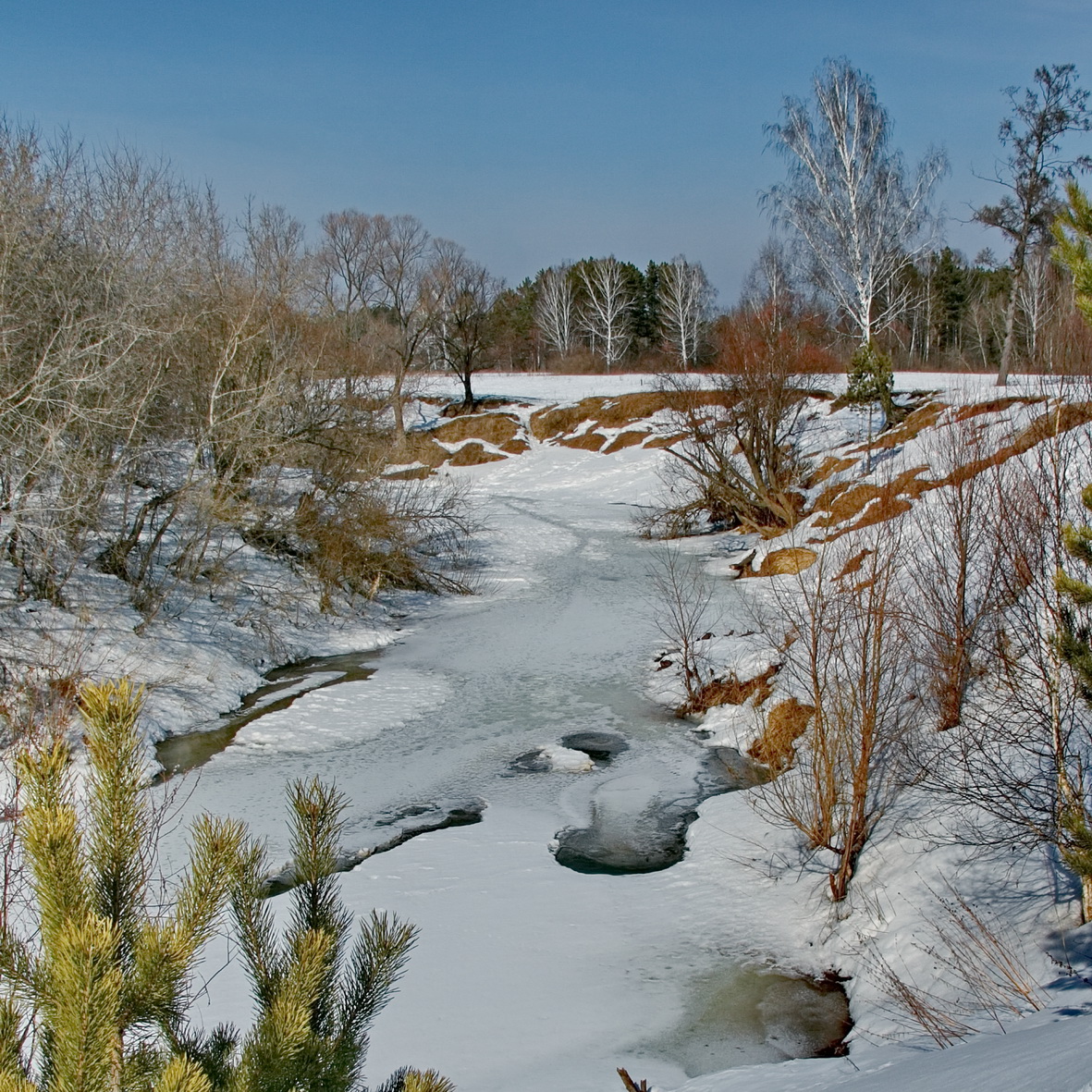 ДЫХАНИЕ ВЕСНЫ