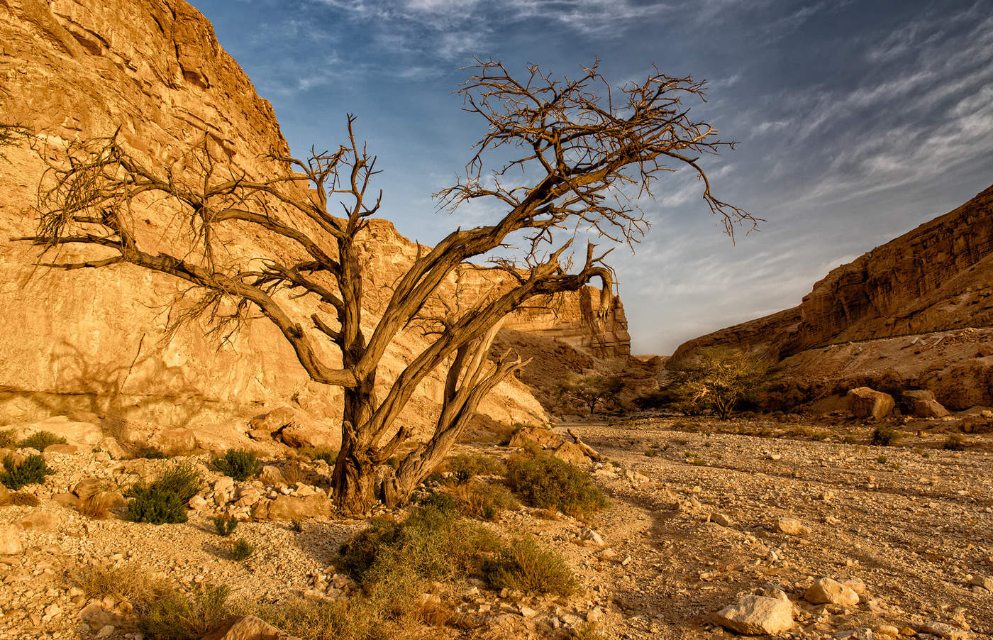 В Красном Каньоне