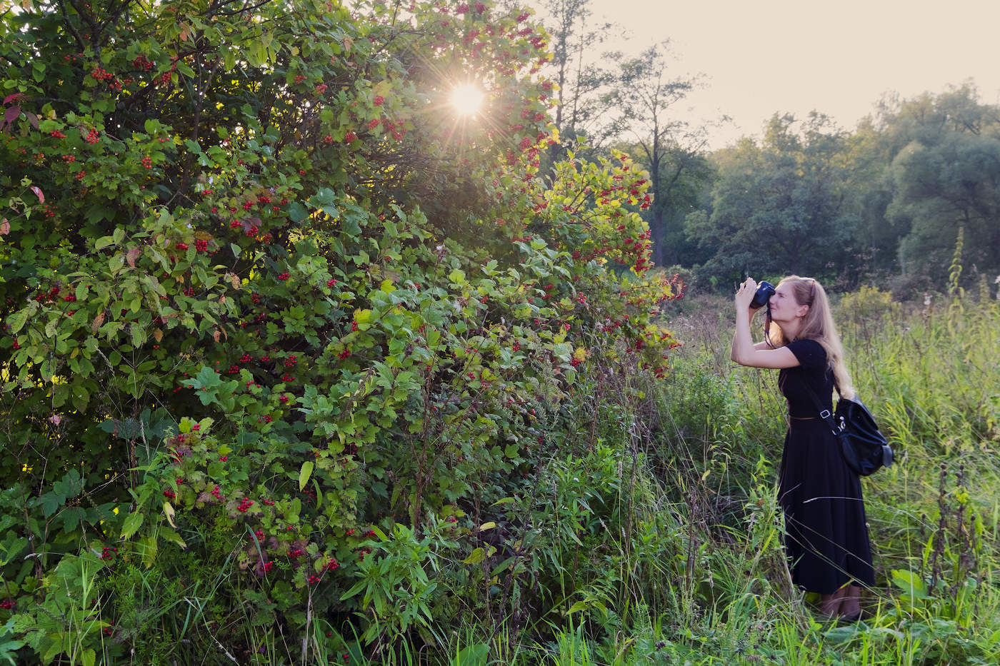 В лучах солнца