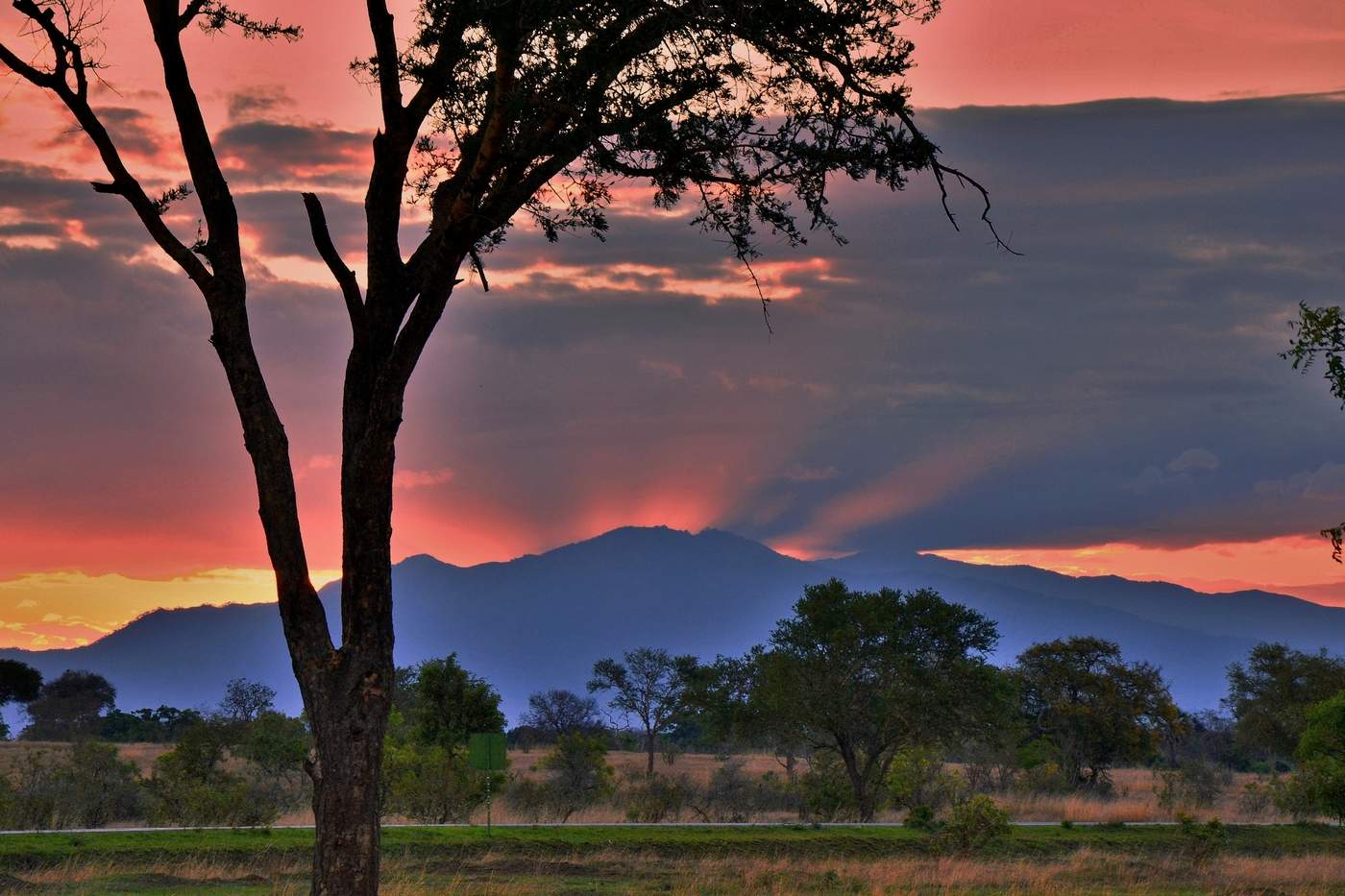 В лучах солнца
