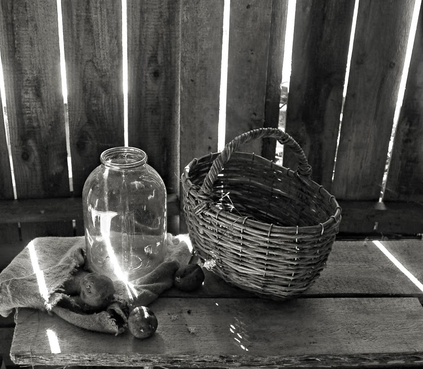 В лучах солнца