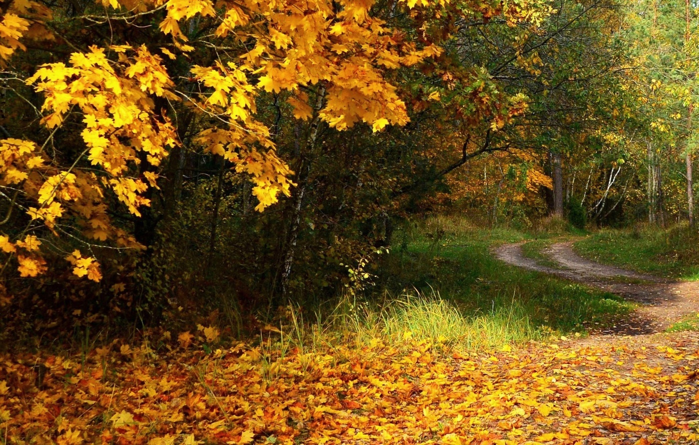 В лучах солнца