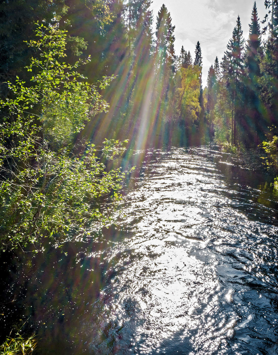 В лучах солнца