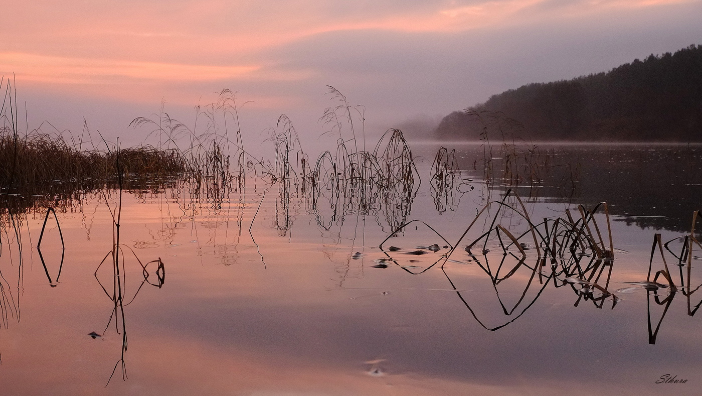 Розовое утро.