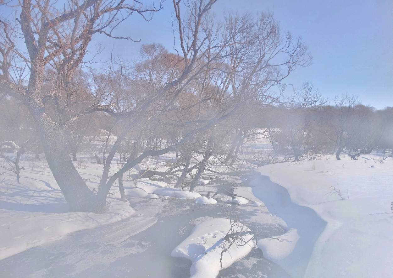 Последний мартовский морозный день